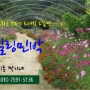분천민박 이미지