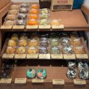 명덕동물병원 | 대구 명덕 능소화 예쁜 카페 반려동물 동반가능 빵지순례 ‘명덕 빵앗간 본점’