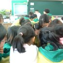 사당초등학교 이미지