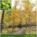 작은나무 큰숲도서관 이미지