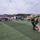 삼가초등학교 Daum카페