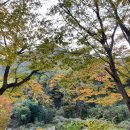 사과향기캠핑장 | 경남 가을 단풍캠핑장 추천 밀양개울캠핑장