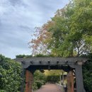 정경식농장 | 샌프란시스코 근교 나파밸리 당일치기 여행 | 무료 와인 테이스팅 V. Sattui Winery 후기 및 욘트빌 산책