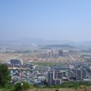 선달바우 이미지