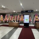 법원1,5,6리 | [별똥별필름] 서울동부지방법원 동백홀 4K 1인3캠 결혼식DVD 촬영 후기