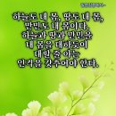 심방경로당 Daum카페