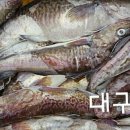 화진호이선장네 이미지