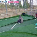 용남풋살장 티스토리