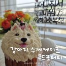 푸드포퍼피 | 동탄 강아지 케이크 수제간식 푸드포퍼피 택배주문 후기
