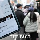 371 더팩트