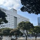 1084 | [제주시] 메종 글래드 제주 / 제주공항 근처 가성비 호텔 스탠다드 더블 1박 내돈내산 후기