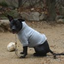 알프하우스 이미지