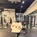 천안 불당동 헬스장 [시티짐 불당점] 불당동PT 후기