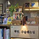 사례관리 100-12편_지민이와 성민이_임세연 이미지