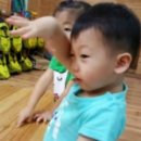 1)나는 방울토마토를 좋아해, 2)맛있는 밥상을 만들자! 이미지