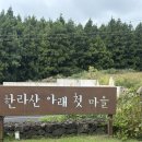 영농조합법인우방 | 리뷰 :: [제주맛집] 서귀포시 메밀로 유명한 메밀 찐맛집, &#34;한라산아래첫마을영농조합법인&#34; 리뷰/추천/후기