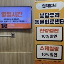 가치있개 반려견 유치원 이미지