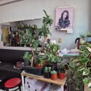 이화미용실 이미지