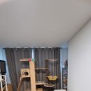 씨유 영통 일등점 | 2025 궁팡 궁디팡팡캣페스타 세텍(SETEC) 고양이 박람회 원정 후기