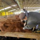 백신농장 이미지