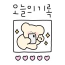 아라퀸피싱 이미지