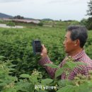 박인균농장 네이버블로그