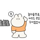 미사미트 이미지