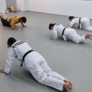 한국체대석사 호아태권도 이미지