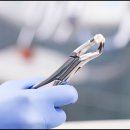 박현수치과의원 이미지