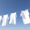 시원한 여름 이야기 이미지