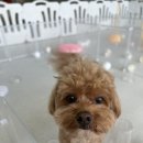 유앤호텔 이미지