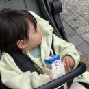 워터밀리 | ㅣ 휴대용 유모차 5개월 사용후기 ㅣ 미마 밀리 휴대용유모차
