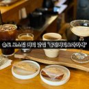 송도 아트포레 돌핀커피오마카세 센트럴파크 카페 내돈내산