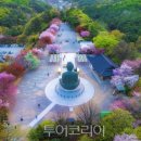 종로-현장-종로-세-113 이미지