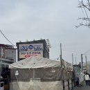 로얄수족관(이마트 동탄점) | [동탄맛집] 사계절 내내 즐기는 야장 감성! '명량수산포차' 키조개 관자 삼합 후기