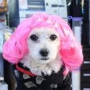 월드아쿠아 이미지