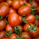 부농농장 이미지