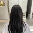 샌드데이 이미지
