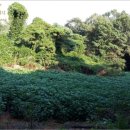 상신목장 이미지