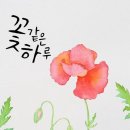 수채화 캘리그라피 초급 이미지
