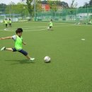 솔향태권도 이미지