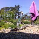 구내농장 이미지