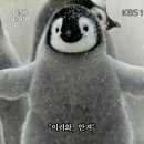 뮤지컬 배니싱 이미지