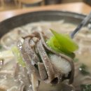 평창막국수 네이버블로그