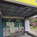 한라산쑥찐빵 | 제주 한라산쑥찐빵 후기 제주빵맛집 제주떡맛집 추천 제주빵지순례
