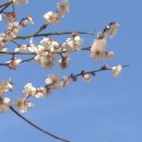 카페유니크 - 계양구 계양산로 52 | 카페유니크