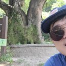 박원겸선생 신도비 이미지
