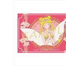 푸치하우스 이미지