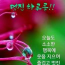 순창벚꽃축제에 능소화가 울려 퍼집니다 ~~~ 이미지