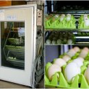 머물농장 이미지